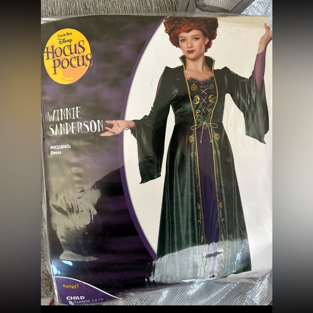 Disney Hocus Pocus Winnie Sanderson Dress Costume - Purple and Black